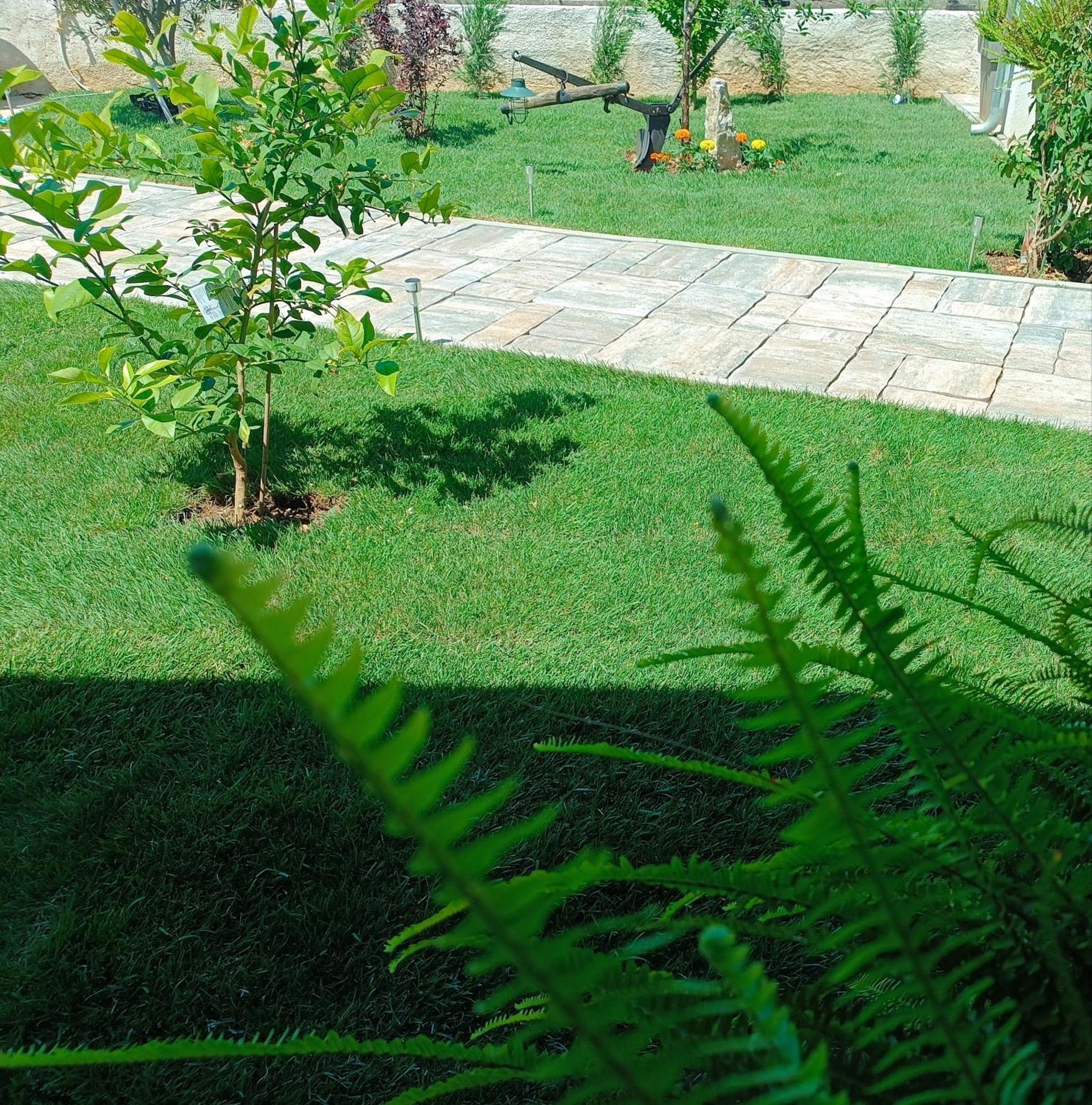 Schatzi 1 Sukosan Ngoại thất bức ảnh